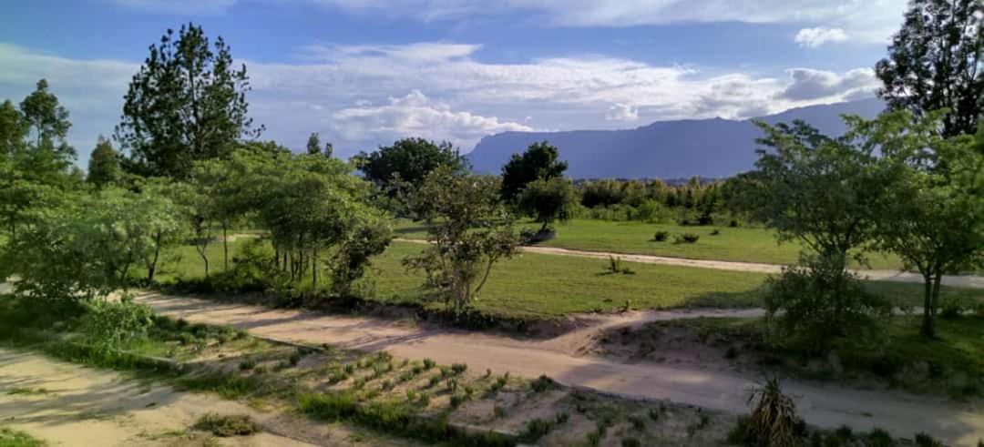 Moholoholo Lodge Acornhoek Екстер'єр фото